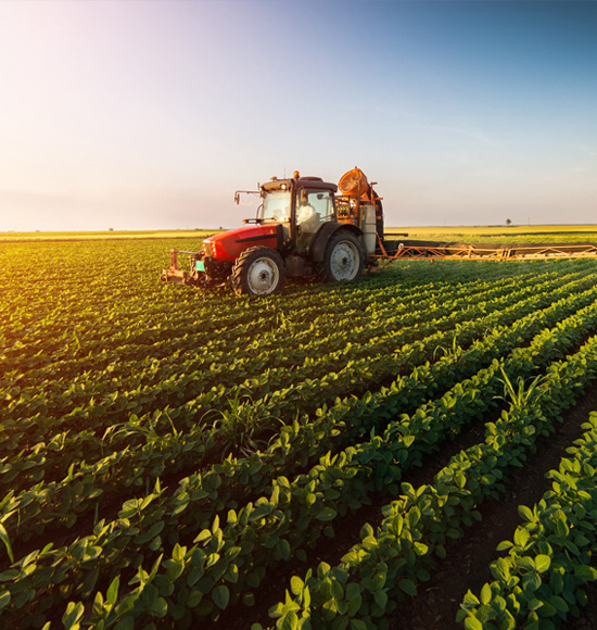 Promoting the Use of Smarter Steels for a Better World